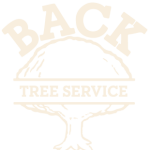 backtree-logo-onecolor-02