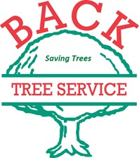 Back Tree Service